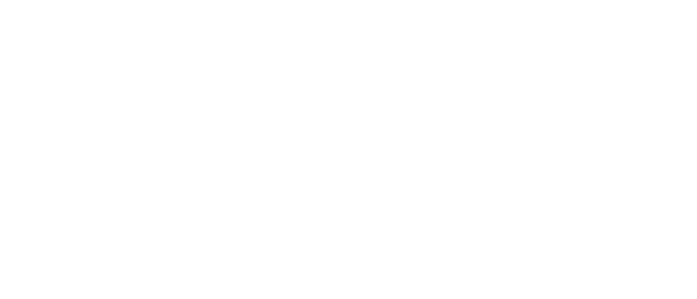 Home Page [www.bosssecurity.com]