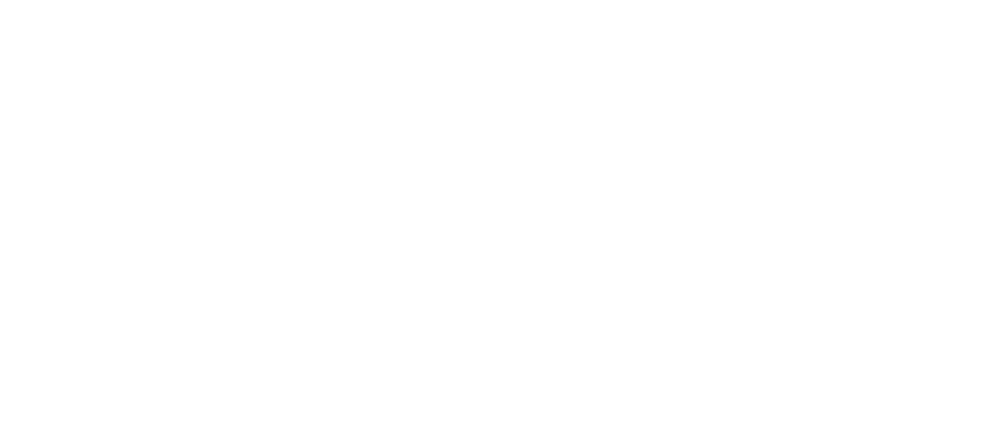 New Boss Rebrand white
